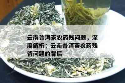 云南普洱茶农残问题，深度解析：云南普洱茶农残留问题的背后