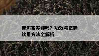 普洱茶养肺吗？功效与正确饮用方法全解析