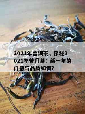 2021年普洱茶，探秘2021年普洱茶：新一年的口感与品质如何？