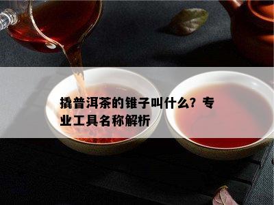 撬普洱茶的锥子叫什么？专业工具名称解析