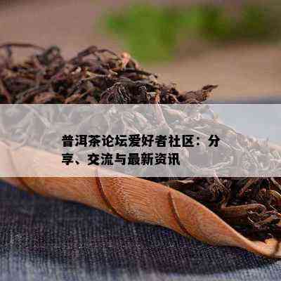 普洱茶论坛爱好者社区：分享、交流与最新资讯