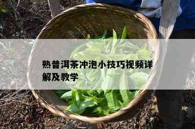 熟普洱茶冲泡小技巧视频详解及教学