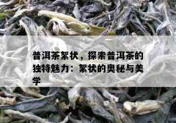 普洱茶絮状，探索普洱茶的独特魅力：絮状的奥秘与美学