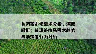 普洱茶市场需求分析，深度解析：普洱茶市场需求趋势与消费者行为分析