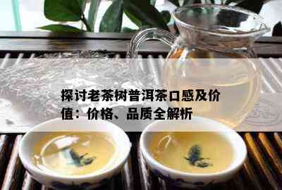 探讨老茶树普洱茶口感及价值：价格、品质全解析