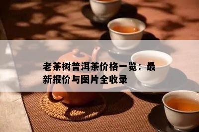 老茶树普洱茶价格一览：最新报价与图片全收录