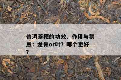 普洱茶梗的功效、作用与禁忌：龙骨or叶？哪个更好？