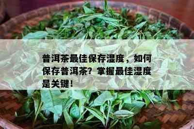 普洱茶更佳保存湿度，如何保存普洱茶？掌握更佳湿度是关键！