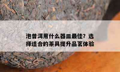 泡普洱用什么器皿更佳？选择适合的茶具提升品茗体验