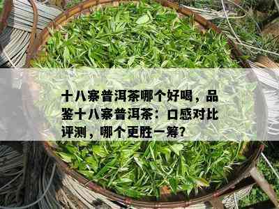 十八寨普洱茶哪个好喝，品鉴十八寨普洱茶：口感对比评测，哪个更胜一筹？