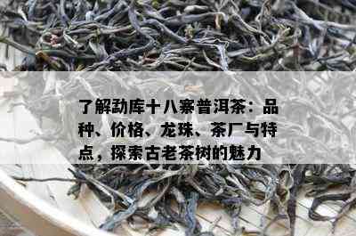 了解勐库十八寨普洱茶：品种、价格、龙珠、茶厂与特点，探索古老茶树的魅力