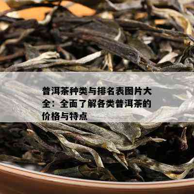 普洱茶种类与排名表图片大全：全面了解各类普洱茶的价格与特点