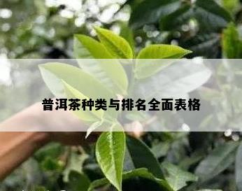 普洱茶种类与排名全面表格