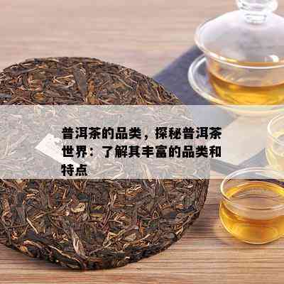 普洱茶的品类，探秘普洱茶世界：了解其丰富的品类和特点