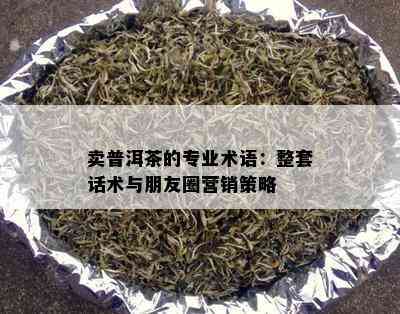 卖普洱茶的专业术语：整套话术与朋友圈营销策略