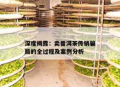 深度揭露：卖普洱茶传销骗局的全过程及案例分析