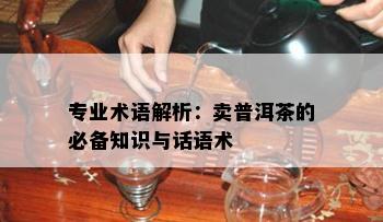 专业术语解析：卖普洱茶的必备知识与话语术