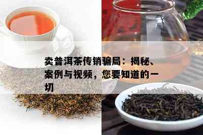 卖普洱茶传销骗局：揭秘、案例与视频，您要知道的一切