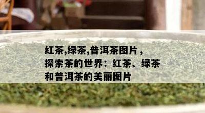 红茶,绿茶,普洱茶图片，探索茶的世界：红茶、绿茶和普洱茶的美丽图片