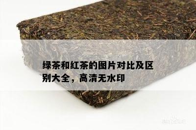 绿茶和红茶的图片对比及区别大全，高清无水印