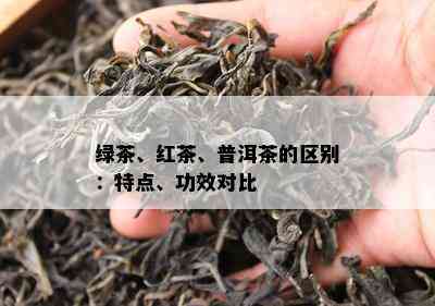 绿茶、红茶、普洱茶的区别：特点、功效对比