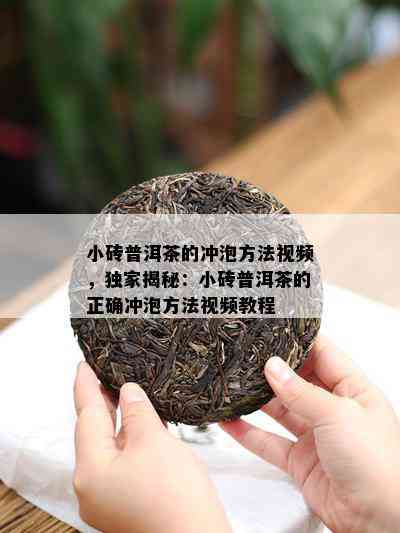 小砖普洱茶的冲泡方法视频，独家揭秘：小砖普洱茶的正确冲泡方法视频教程