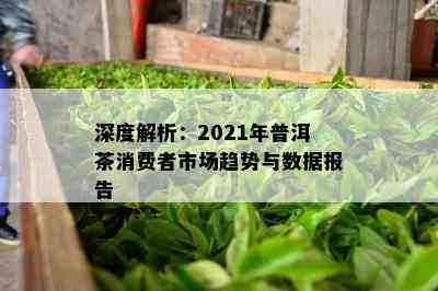 深度解析：2021年普洱茶消费者市场趋势与数据报告