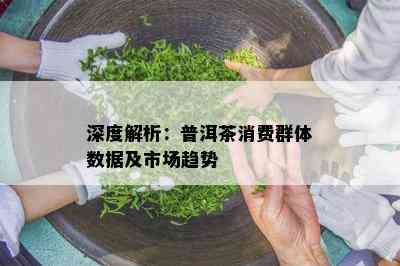 深度解析：普洱茶消费群体数据及市场趋势