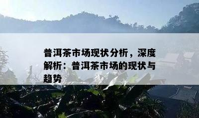 普洱茶市场现状分析，深度解析：普洱茶市场的现状与趋势