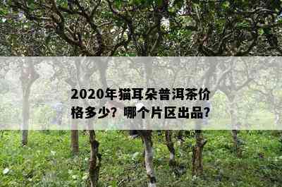 2020年猫耳朵普洱茶价格多少？哪个片区出品？