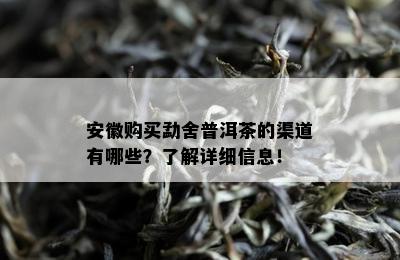 安徽购买勐舍普洱茶的渠道有哪些？了解详细信息！