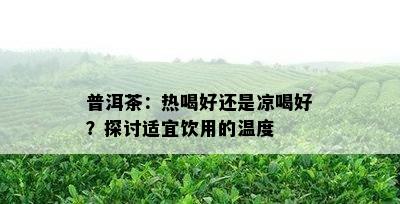 普洱茶：热喝好还是凉喝好？探讨适宜饮用的温度