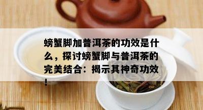 螃蟹脚加普洱茶的功效是什么，探讨螃蟹脚与普洱茶的完美结合：揭示其神奇功效！