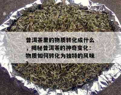 普洱茶里的物质转化成什么，揭秘普洱茶的神奇变化：物质如何转化为独特的风味？