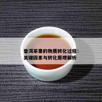 普洱茶里的物质转化过程：关键因素与转化原理解析