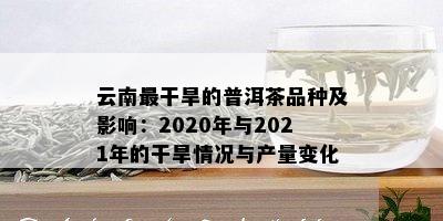 云南最干旱的普洱茶品种及影响：2020年与2021年的干旱情况与产量变化