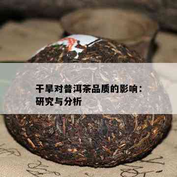 干旱对普洱茶品质的影响：研究与分析