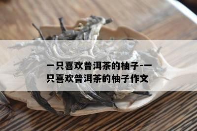 一只喜欢普洱茶的柚子-一只喜欢普洱茶的柚子作文