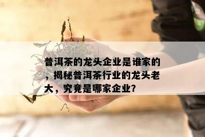 普洱茶的龙头企业是谁家的，揭秘普洱茶行业的龙头老大，究竟是哪家企业？