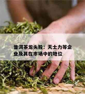 普洱茶龙头股：天士力等企业及其在市场中的地位