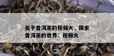 关于普洱茶的视频大，探索普洱茶的世界：视频大