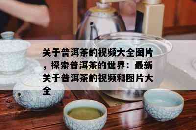 关于普洱茶的视频大全图片，探索普洱茶的世界：最新关于普洱茶的视频和图片大全