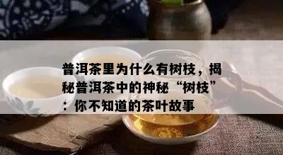 普洱茶里为什么有树枝，揭秘普洱茶中的神秘“树枝”：你不知道的茶叶故事