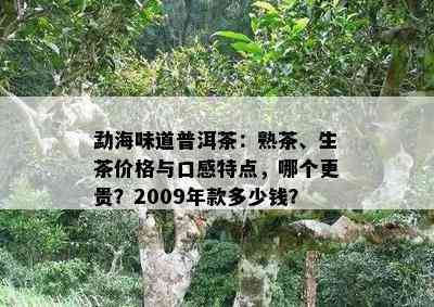 勐海味道普洱茶：熟茶、生茶价格与口感特点，哪个更贵？2009年款多少钱？