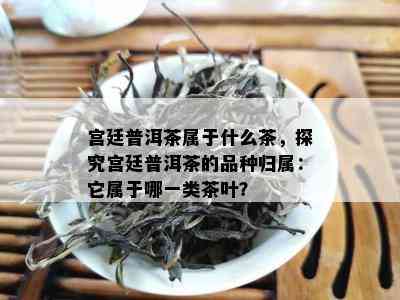 宫廷普洱茶属于什么茶，探究宫廷普洱茶的品种归属：它属于哪一类茶叶？