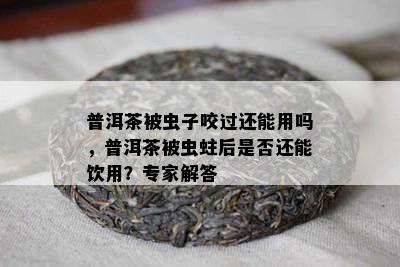 普洱茶被虫子咬过还能用吗，普洱茶被虫蛀后是否还能饮用？专家解答