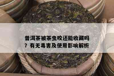 普洱茶被茶虫咬还能收藏吗？有无害及使用影响解析