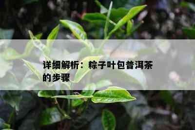 详细解析：粽子叶包普洱茶的步骤