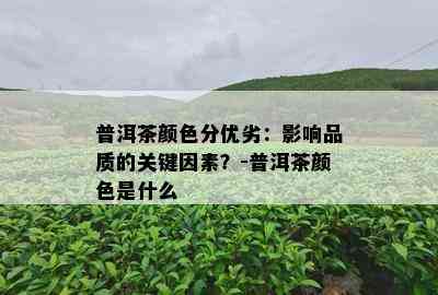 普洱茶颜色分优劣：影响品质的关键因素？-普洱茶颜色是什么