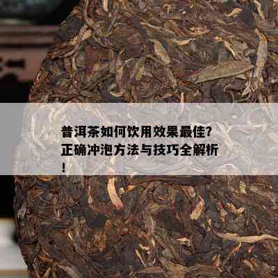 普洱茶如何饮用效果更佳？正确冲泡方法与技巧全解析！